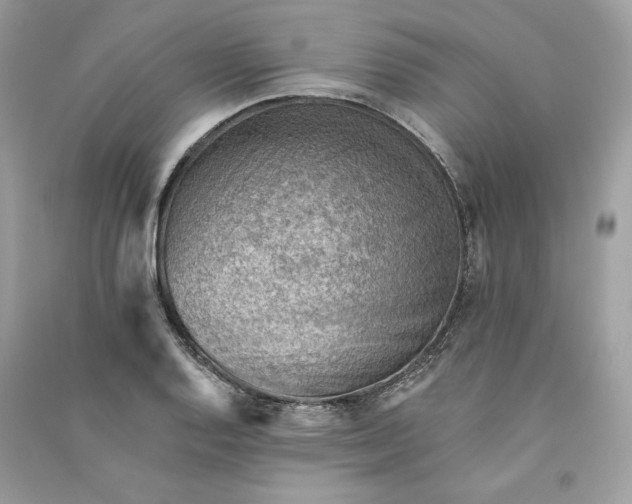 X0000090781128200708101826