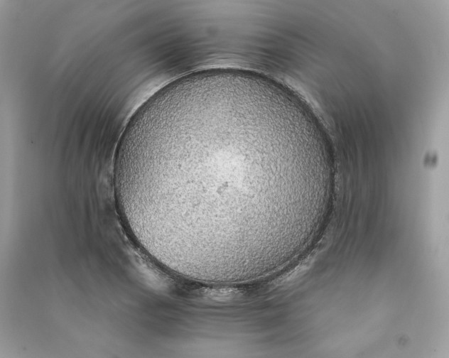 X0000090781129200708101826