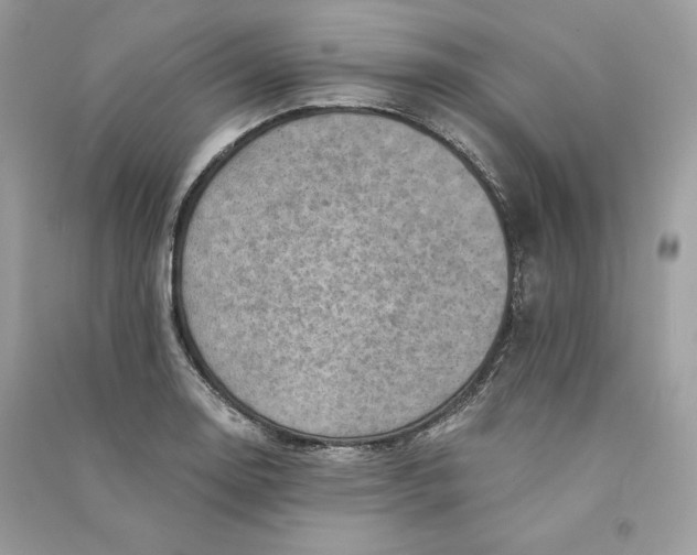 X0000090781130200708101826