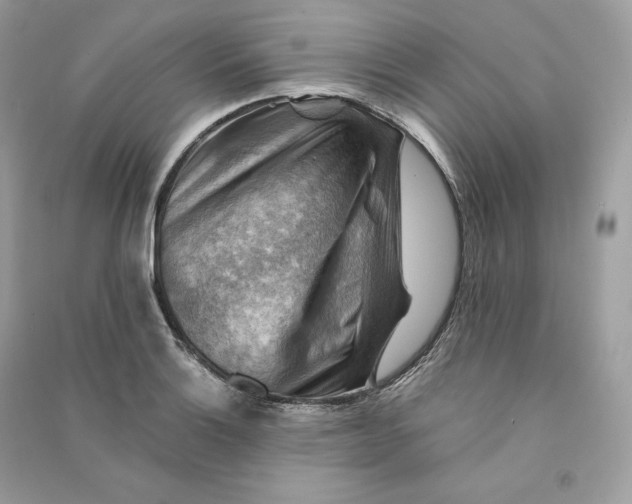 X0000090781132200708101826