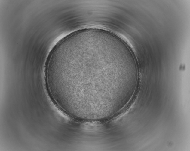 X0000090781133200708101826