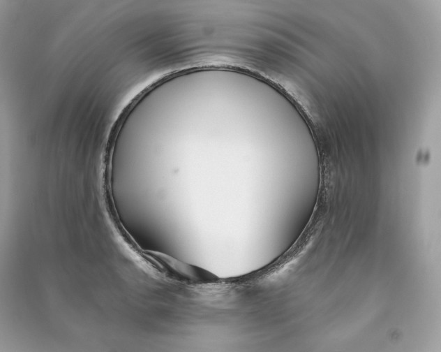 X0000090781134200708101826