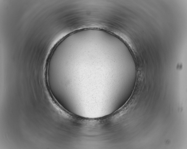 X0000090781135200708101826