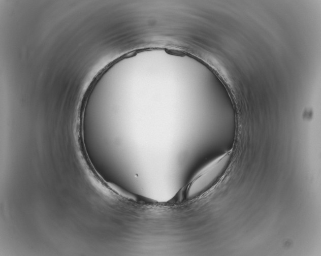 X0000090781136200708101826