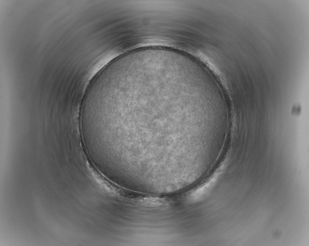 X0000090781137200708101826