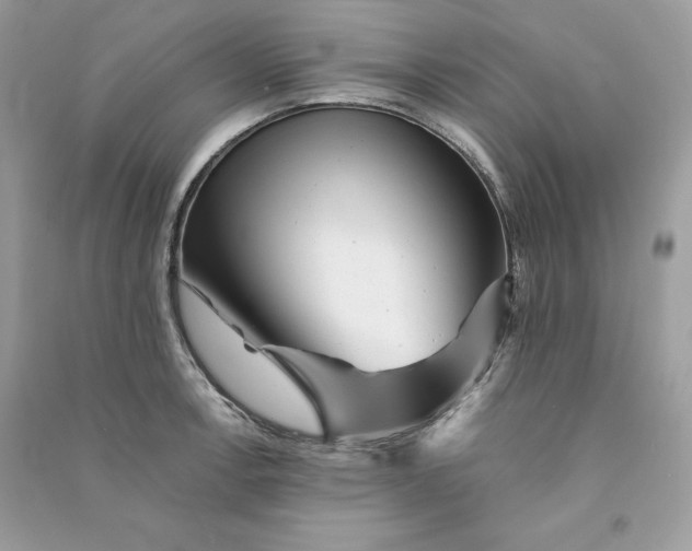 X0000090781138200708101826
