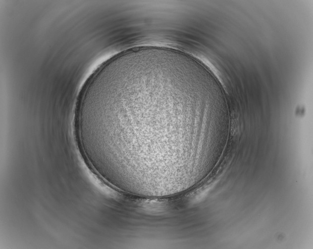 X0000090781139200708101826