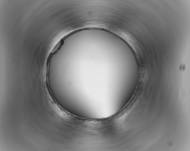 X0000090781140200708101826