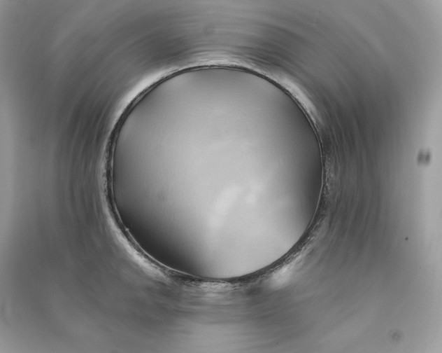 X0000090781142200708101826