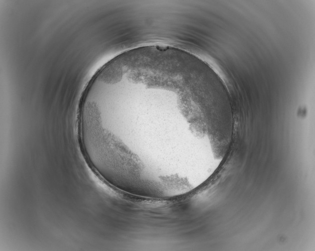 X0000090781143200708101826