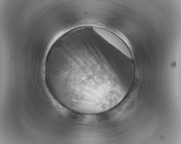 X0000090781144200708101826