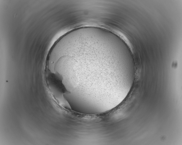 X0000090781146200708101827