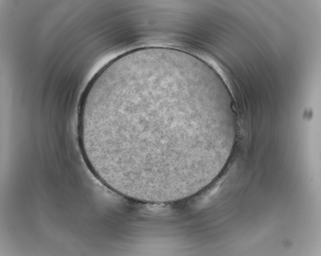 X0000090781147200708101827