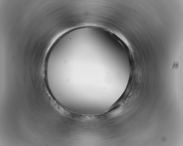 X0000090781148200708101827
