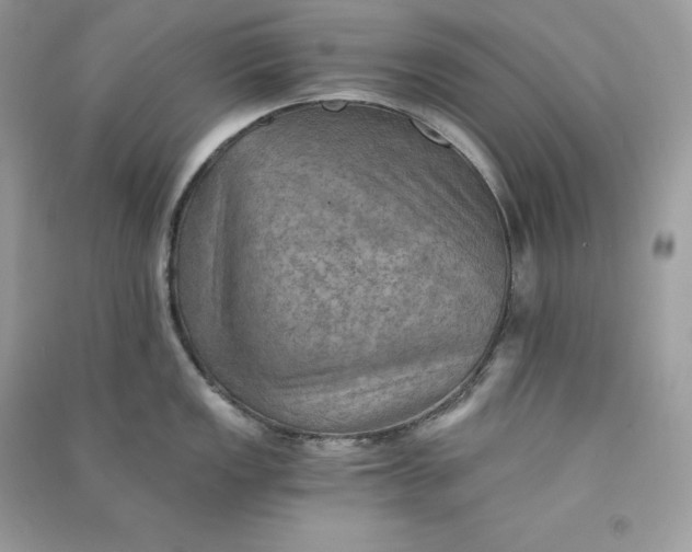 X0000090781149200708101827