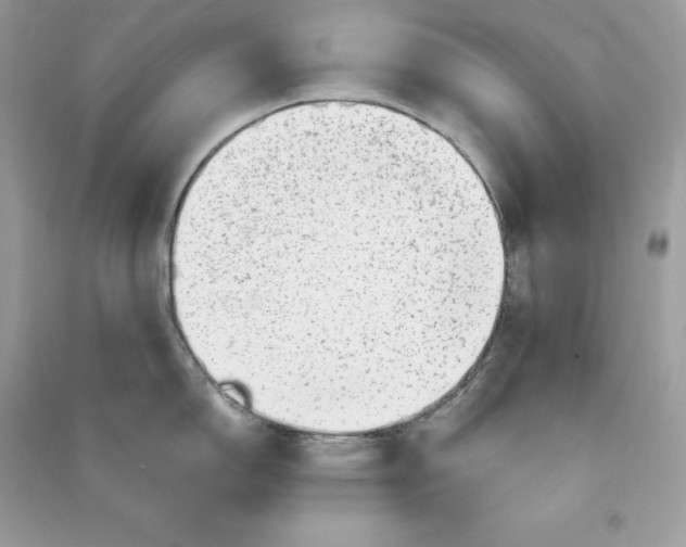 X0000090781150200708101827
