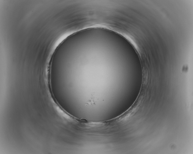 X0000090781151200708101827