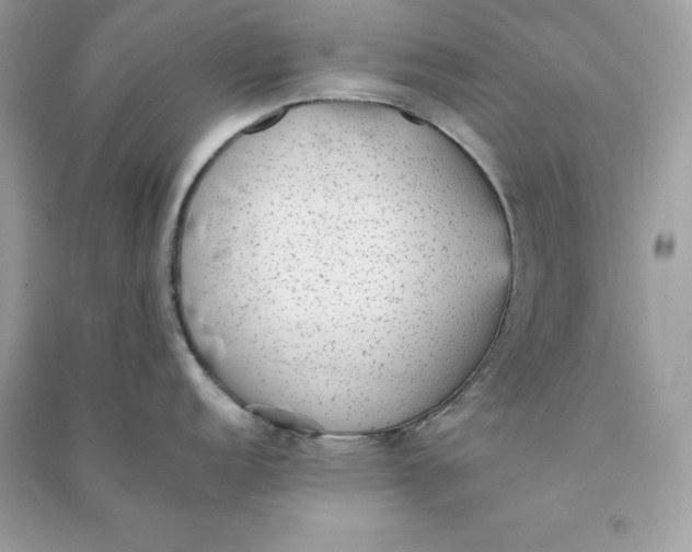 X0000090781152200708101827
