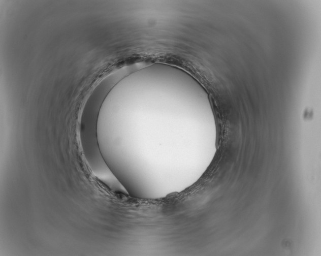 X0000090781153200708101826