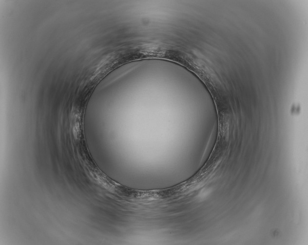 X0000090781154200708101826