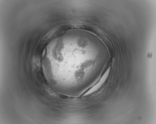 X0000090781155200708101826