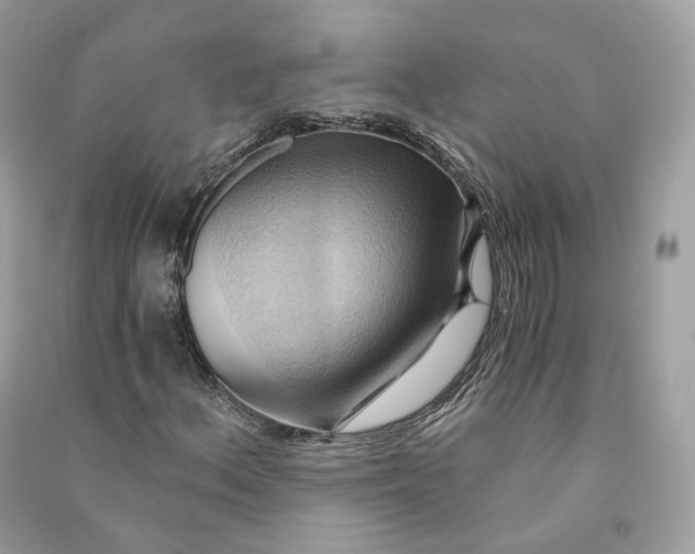 X0000090781156200708101826