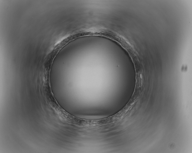 X0000090781158200708101826