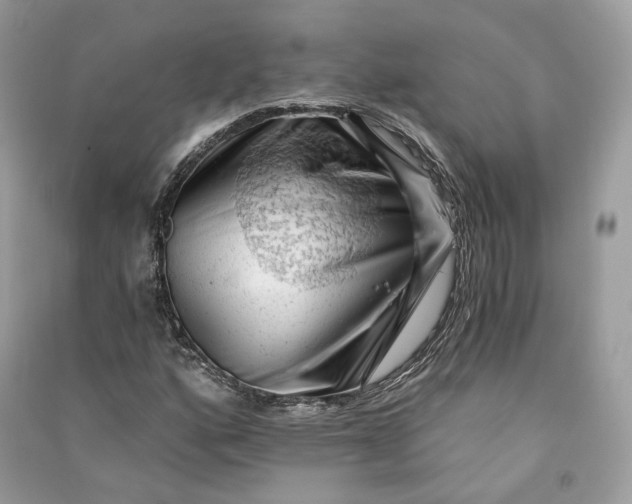 X0000090781160200708101826
