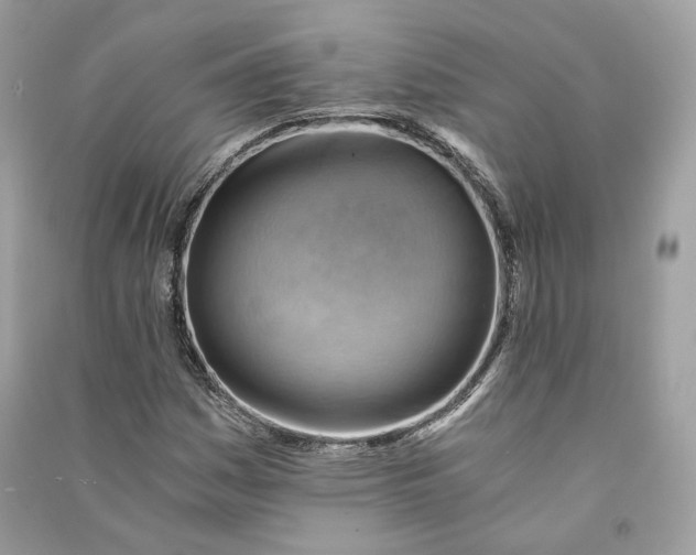 X0000090781161200708101826
