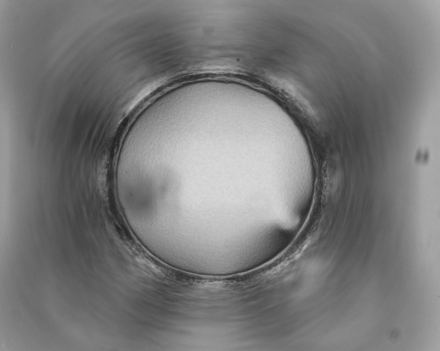 X0000090781162200708101826