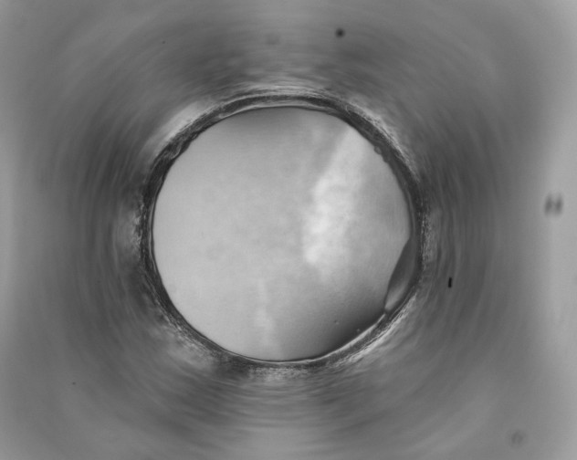X0000090781163200708101826