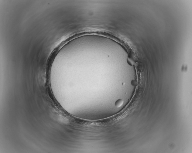 X0000090781165200708101826