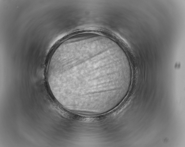 X0000090781166200708101826