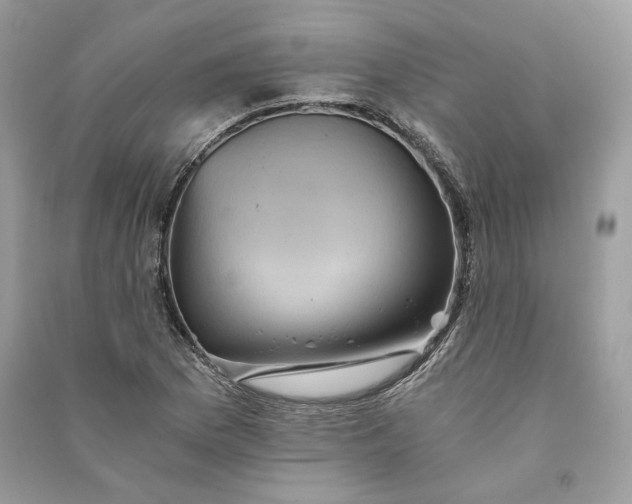 X0000090781169200708101826