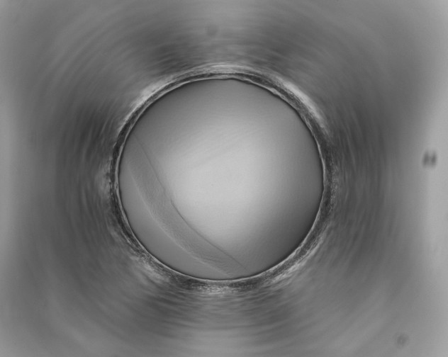 X0000090781170200708101826
