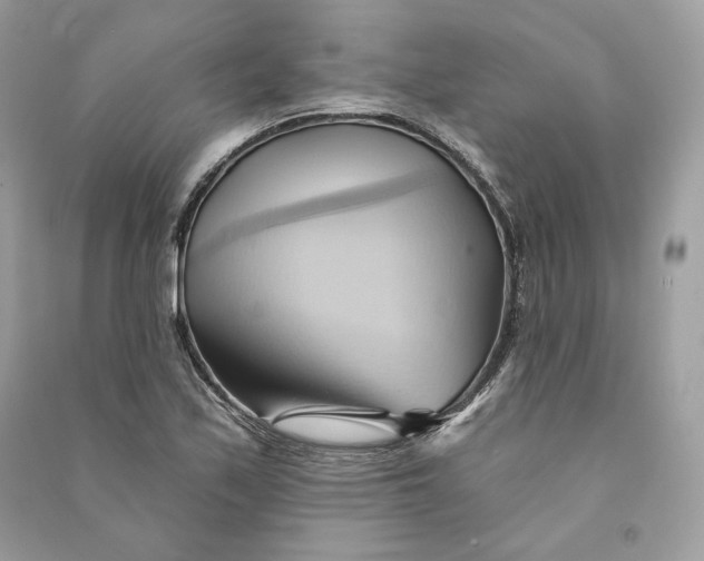 X0000090781171200708101826
