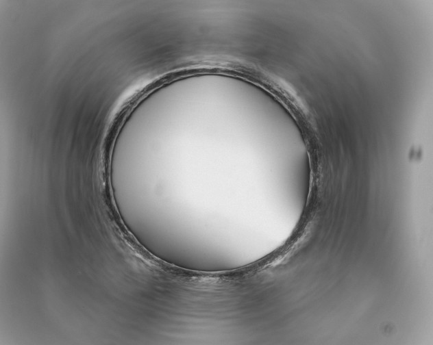 X0000090781172200708101826