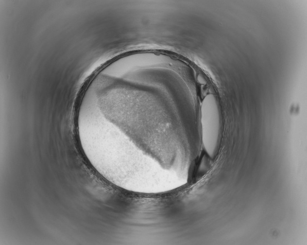 X0000090781173200708101826