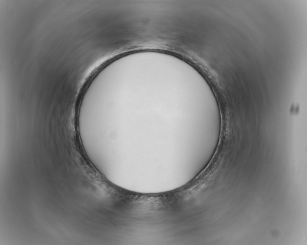 X0000090781174200708101826