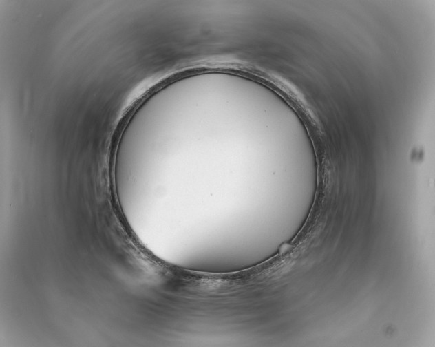 X0000090781176200708101826
