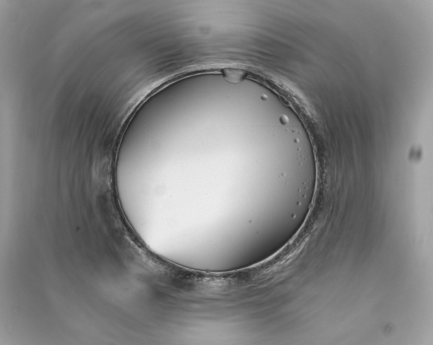 X0000090781177200708101826
