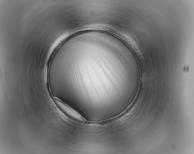 X0000090781180200708101826