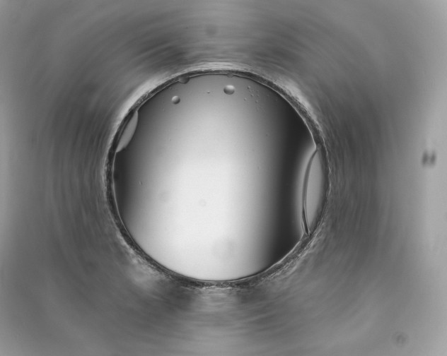 X0000090781181200708101826