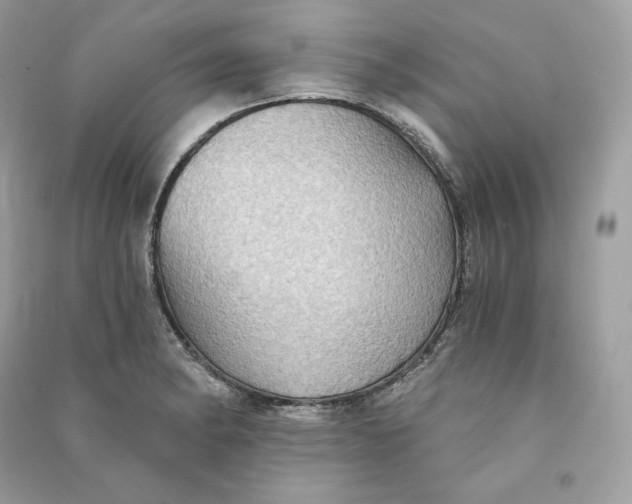 X0000090781182200708101826