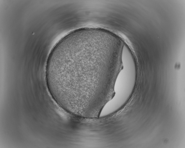 X0000090781183200708101826