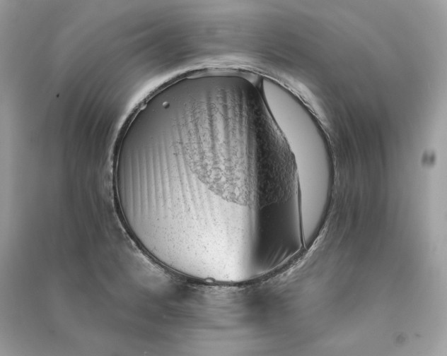 X0000090781184200708101826