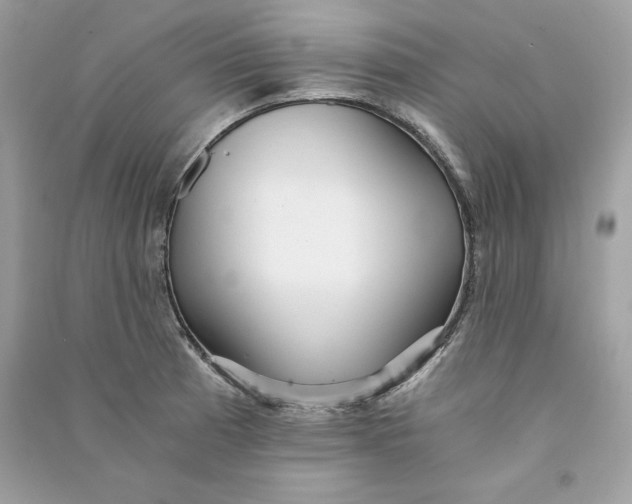 X0000090781185200708101825