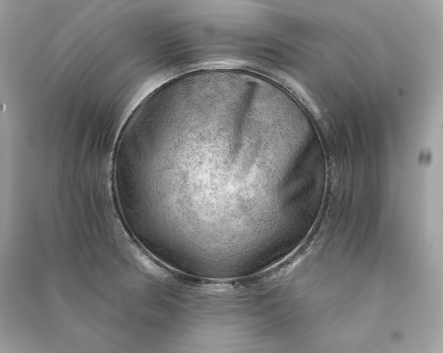 X0000090781186200708101825