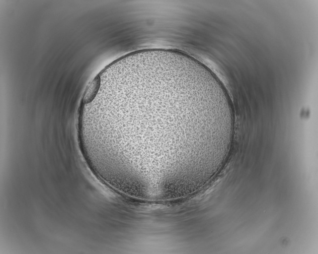 X0000090781187200708101825