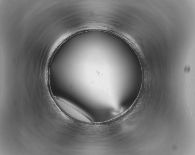 X0000090781188200708101825